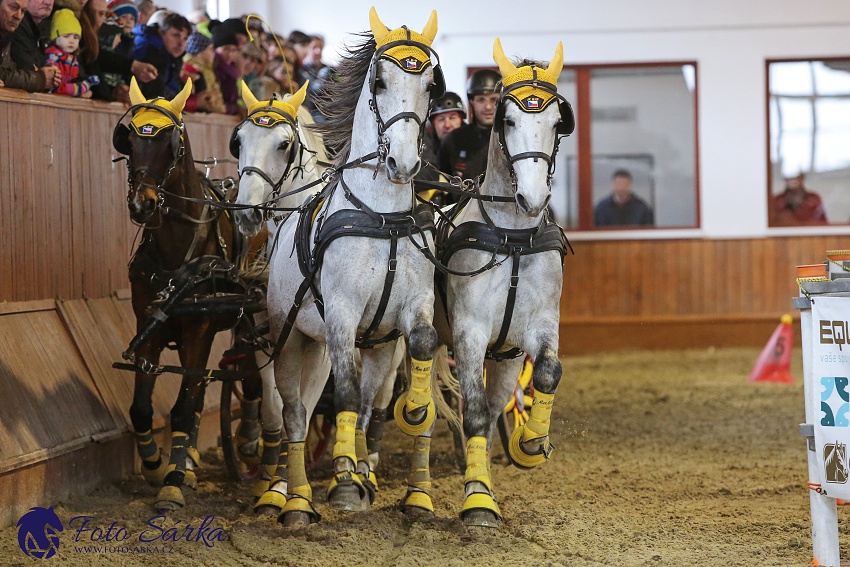 Brno 2019 - spřežení