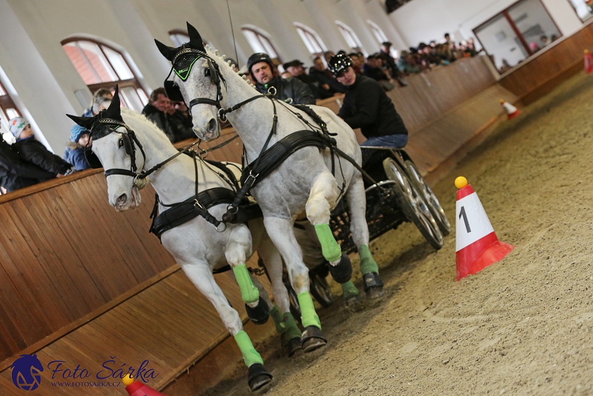 Brno 2019 - spřežení