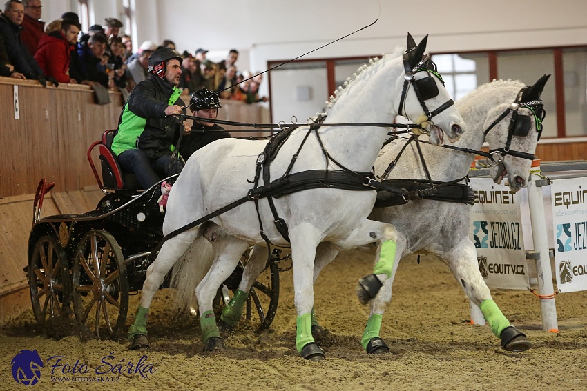 Brno 2019 - spřežení