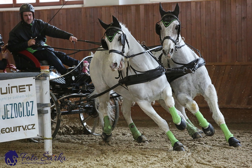 Brno 2019 - spřežení