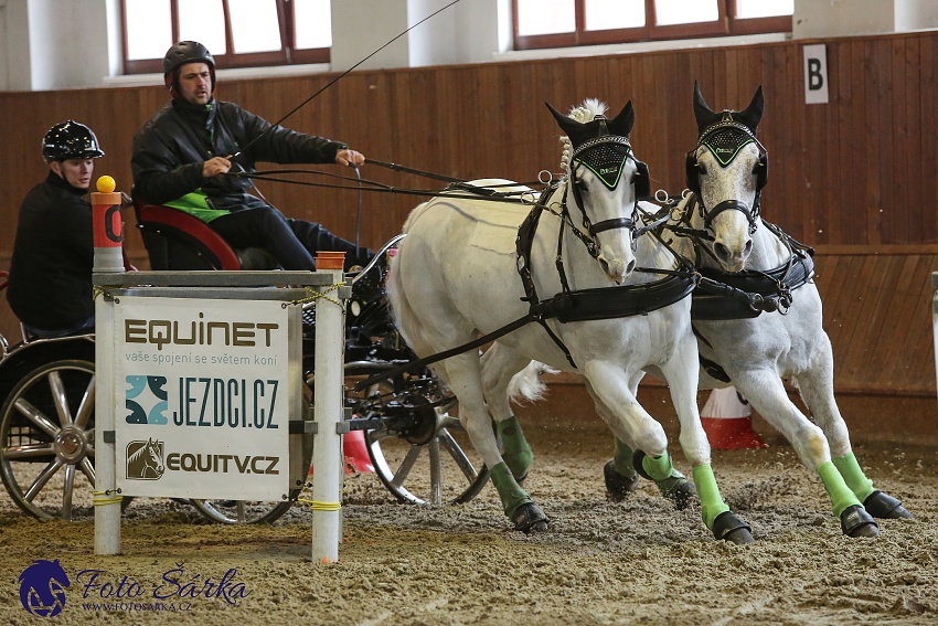 Brno 2019 - spřežení