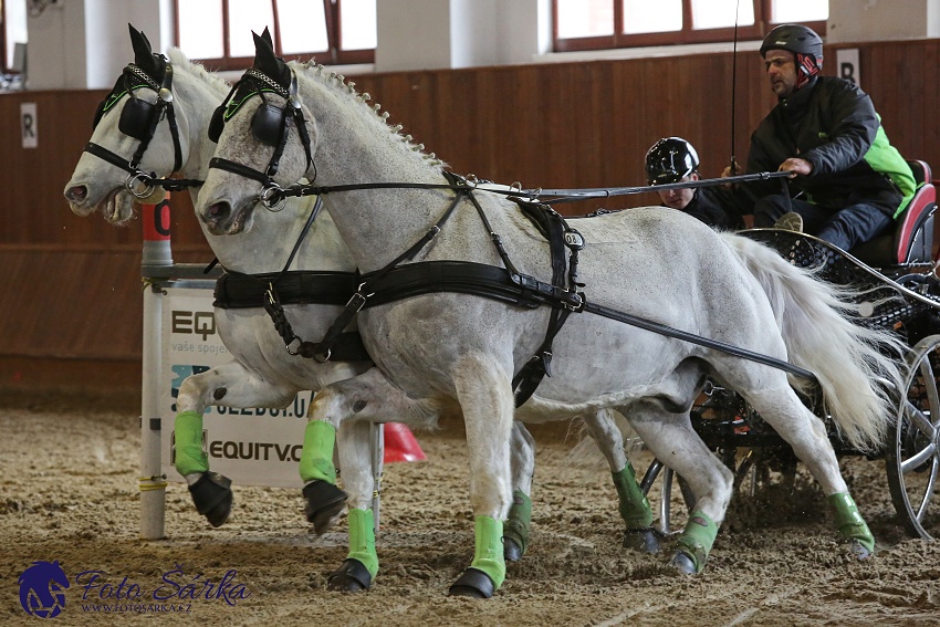 Brno 2019 - spřežení