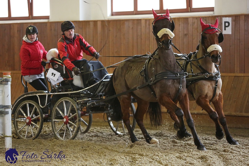 Brno 2019 - spřežení