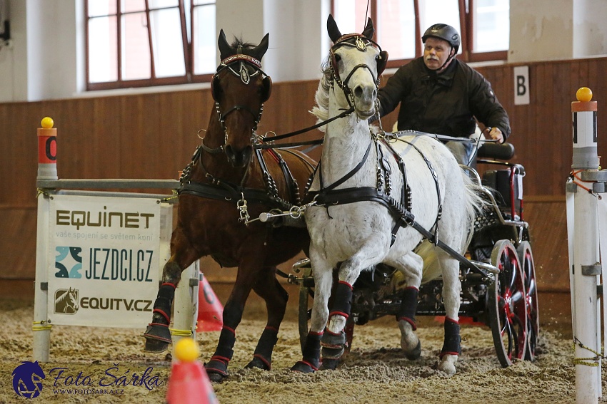 Brno 2019 - spřežení