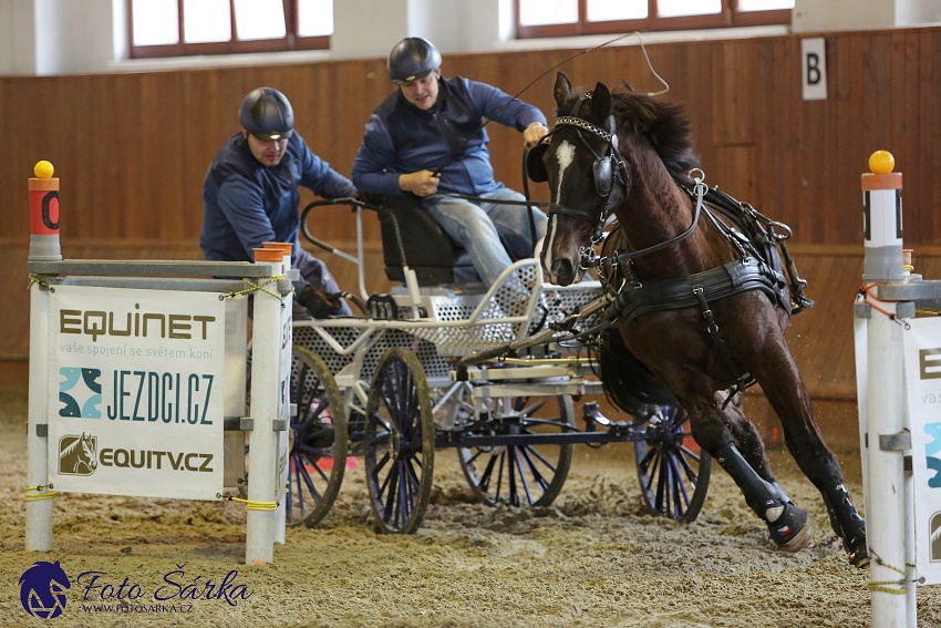 Brno 2019 - spřežení