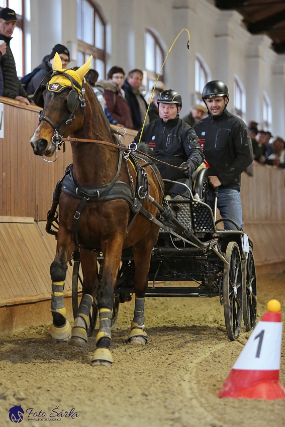 Brno 2019 - spřežení