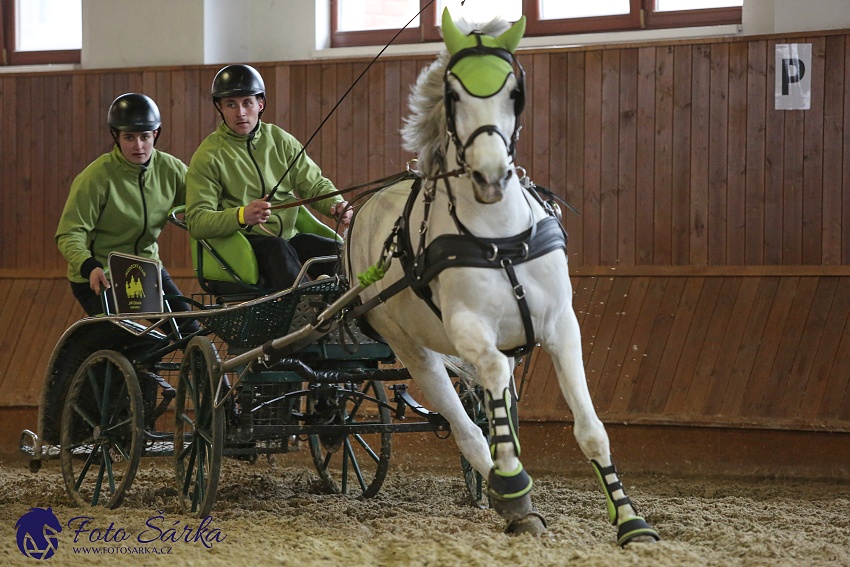 Brno 2019 - spřežení