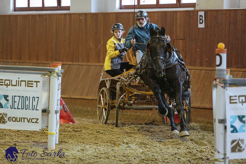 Brno 2019 - spřežení