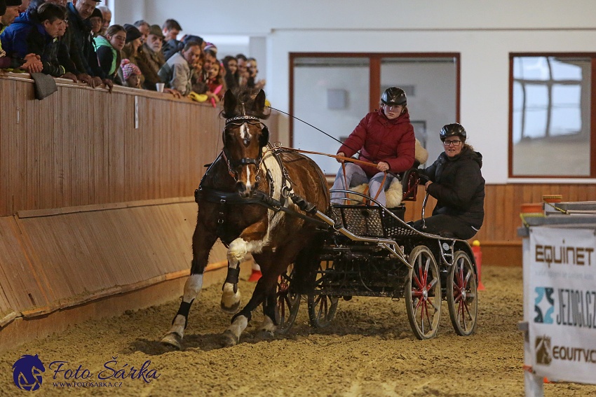 Brno 2019 - spřežení