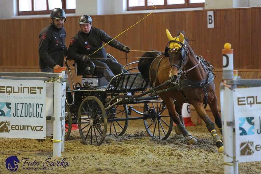 Brno 2019 - spřežení