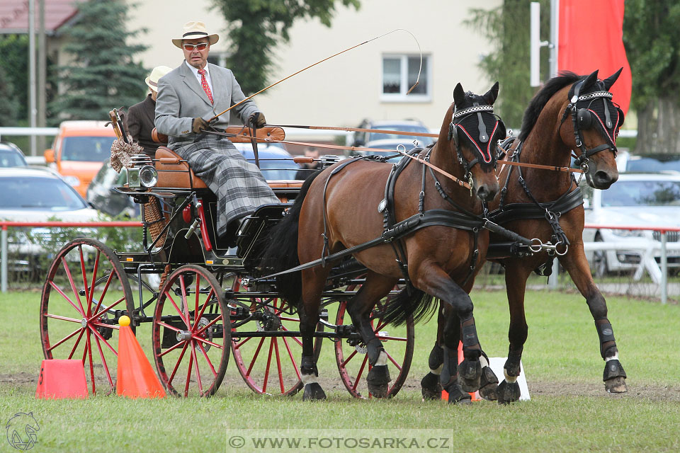 CAI - Drebkau 2016