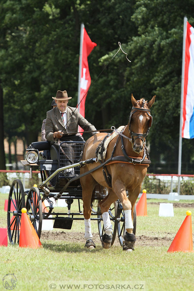 CAI - Drebkau 2016