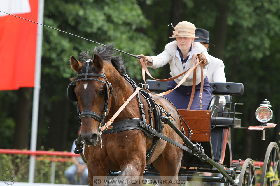 CAI - Drebkau 2016