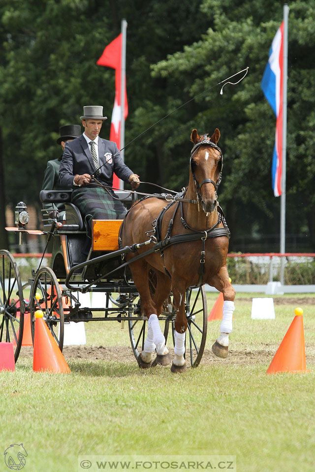 CAI - Drebkau 2016