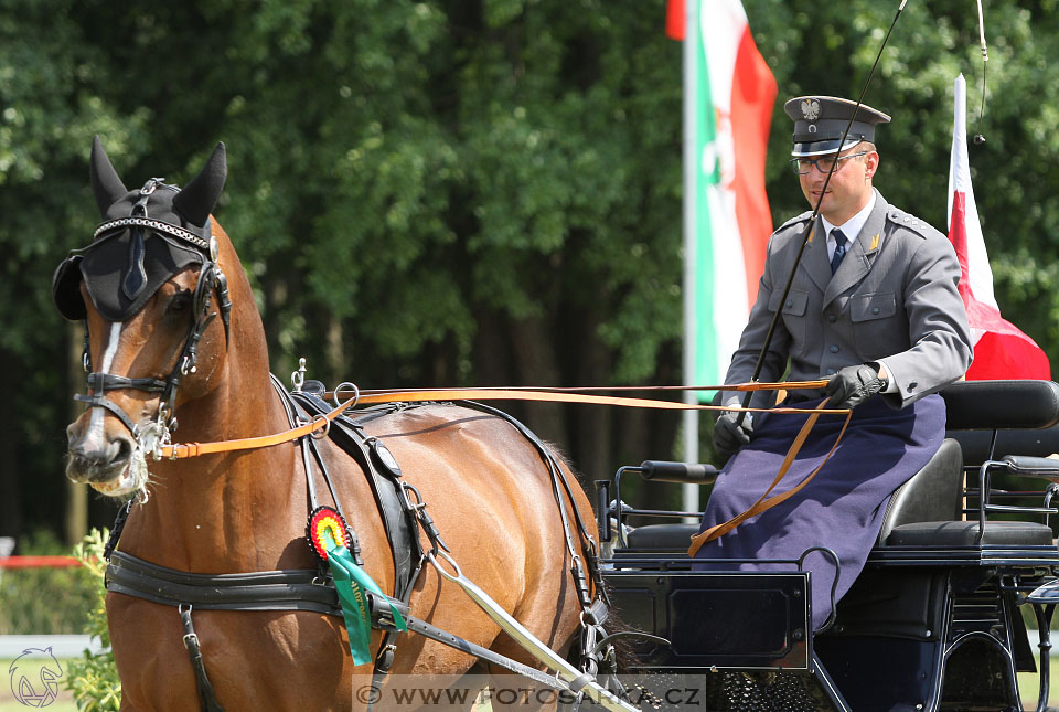 CAI - Drebkau 2016