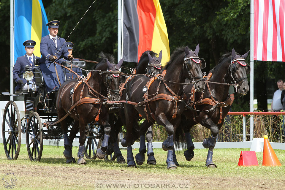 CAI - Drebkau 2016