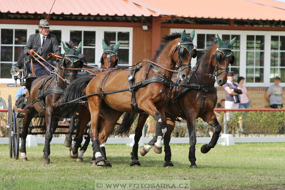 CAI - Drebkau 2016