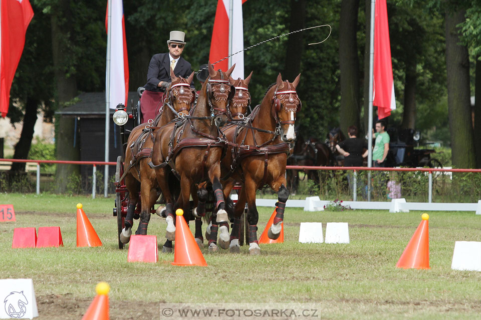 CAI - Drebkau 2016