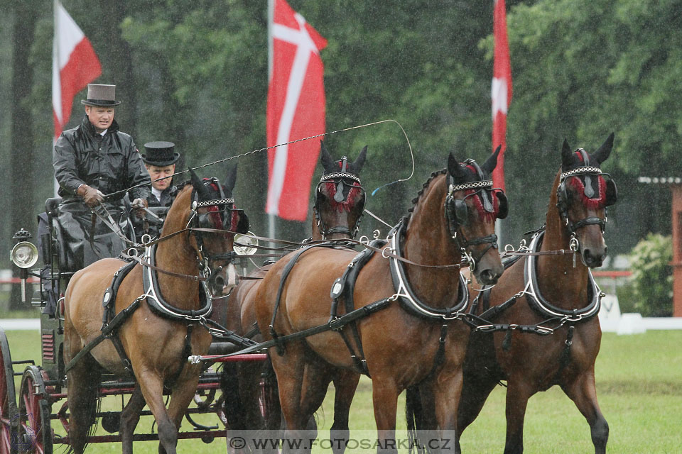 CAI - Drebkau 2016