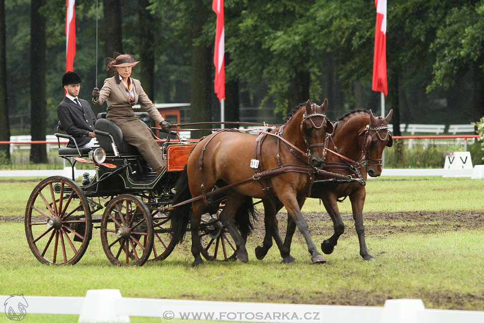 CAI - Drebkau 2016