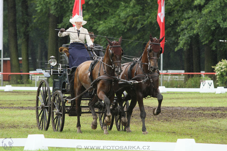 CAI - Drebkau 2016