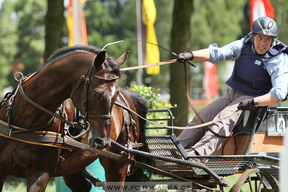 CAI - Drebkau 2016