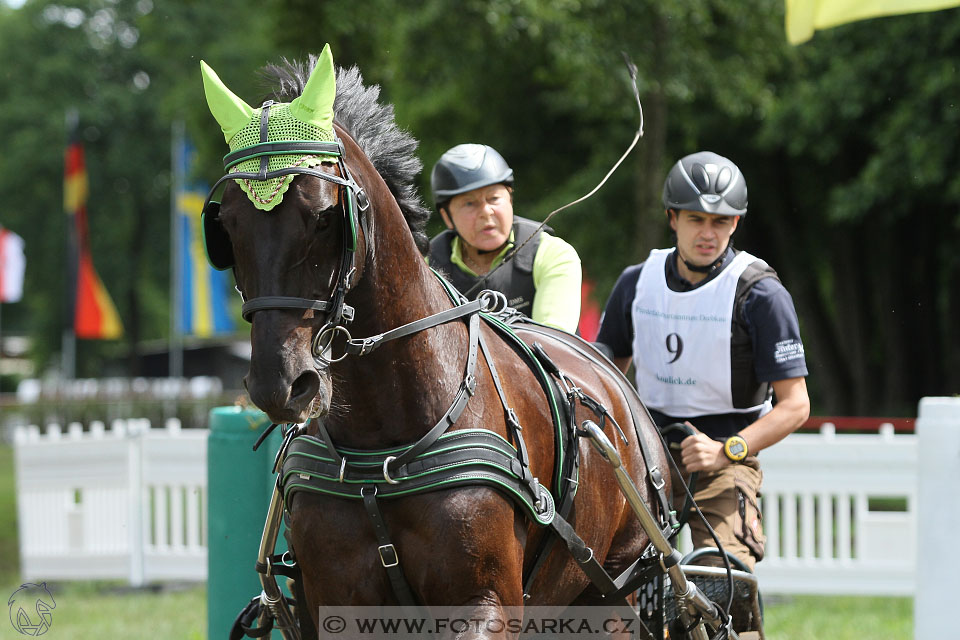 CAI - Drebkau 2016