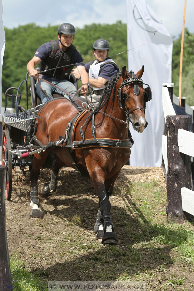 CAI - Drebkau 2016