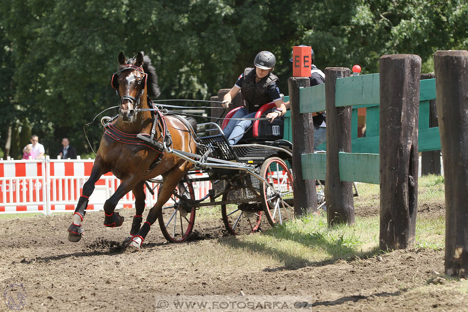 CAI - Drebkau 2016