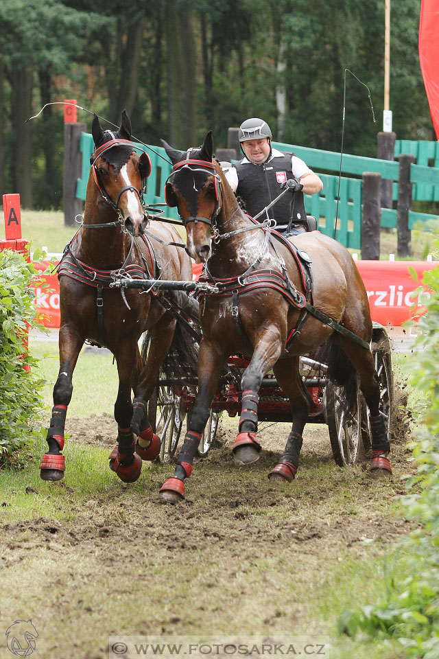 CAI - Drebkau 2016