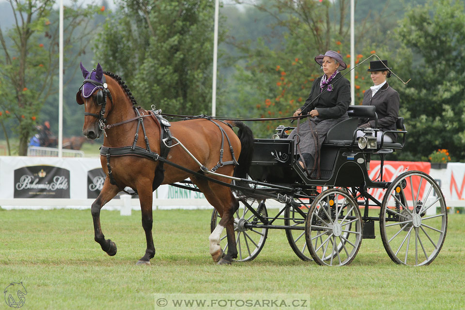 CAIO - Nebanice 2016