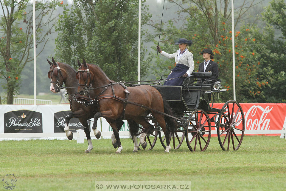 CAIO - Nebanice 2016