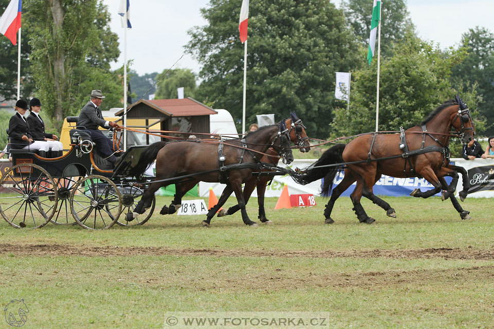 CAIO - Nebanice 2016