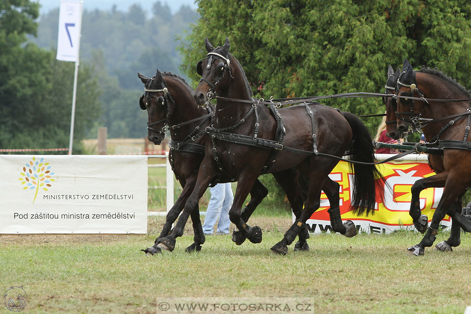 CAIO - Nebanice 2016