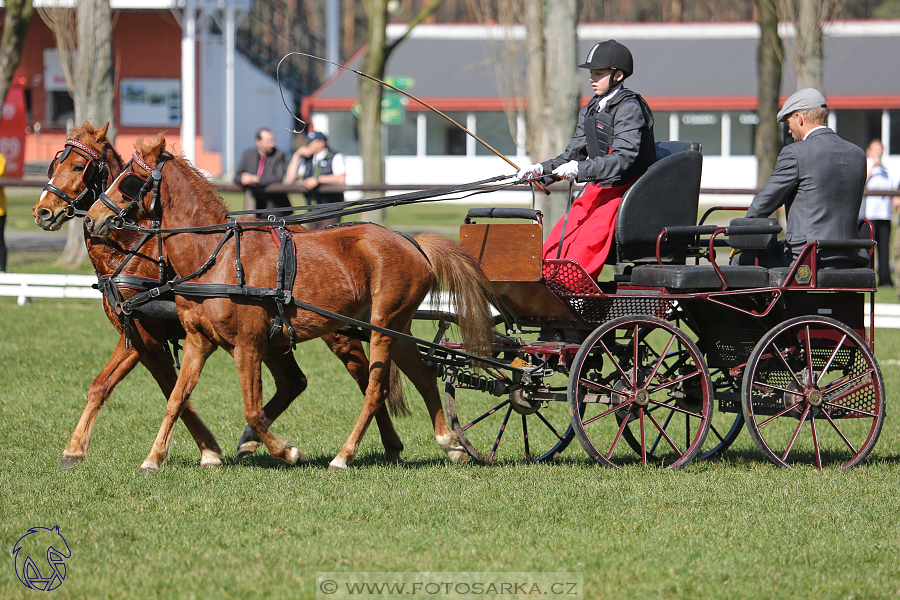 CAN 2* Pardubice - sobota