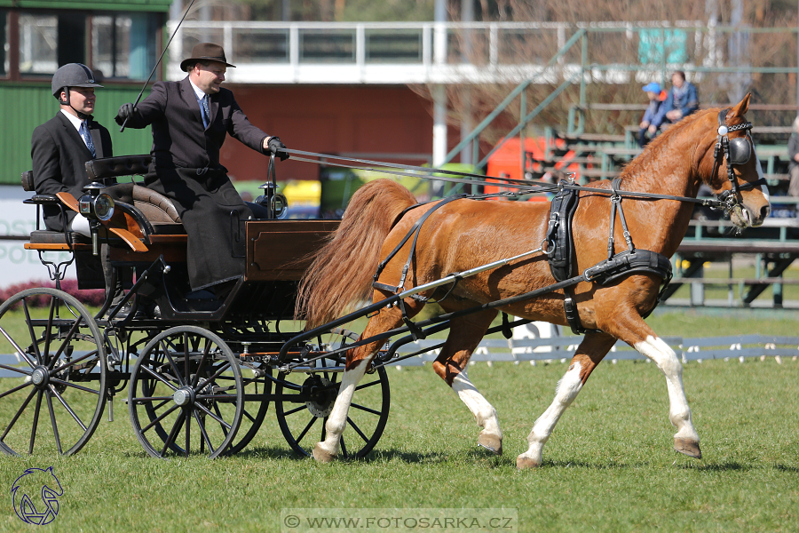 CAN 2* Pardubice - sobota