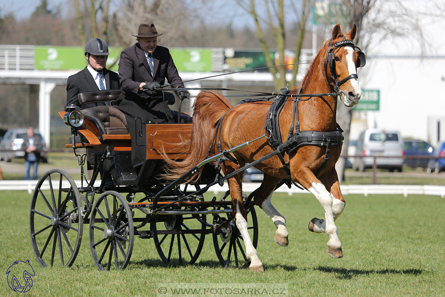 CAN 2* Pardubice - sobota