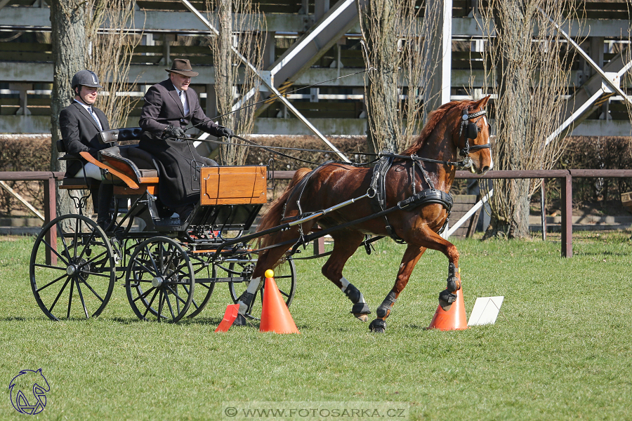 CAN 2* Pardubice - sobota