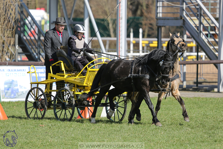 CAN 2* Pardubice - sobota