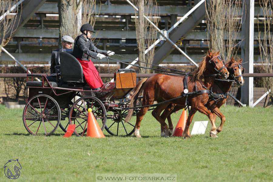 CAN 2* Pardubice - sobota