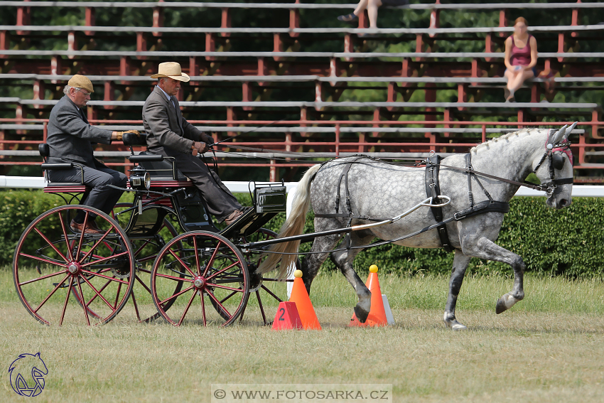 CAN Mimoň 2018 - sobota