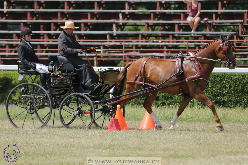 CAN Mimoň 2018 - sobota