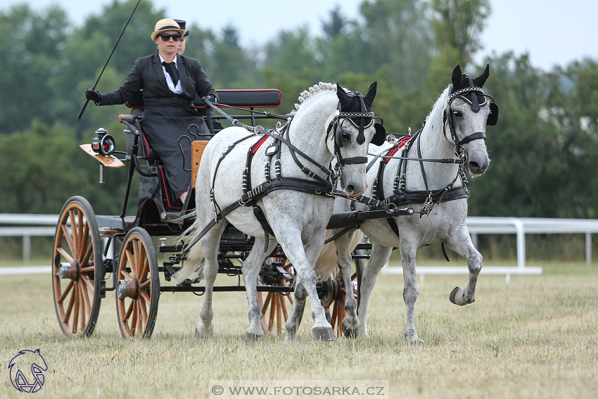 CAN Mimoň 2018 - sobota