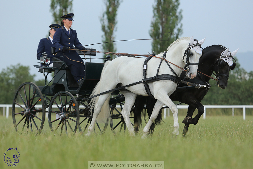 CAN Mimoň 2018 - sobota