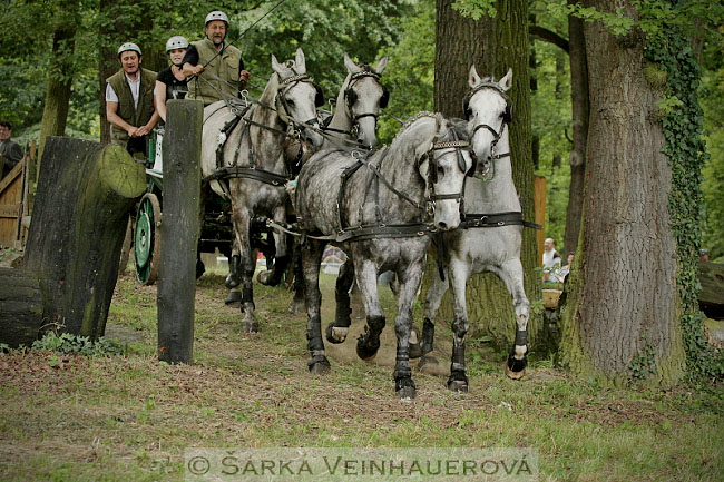 Čtyřspřeží