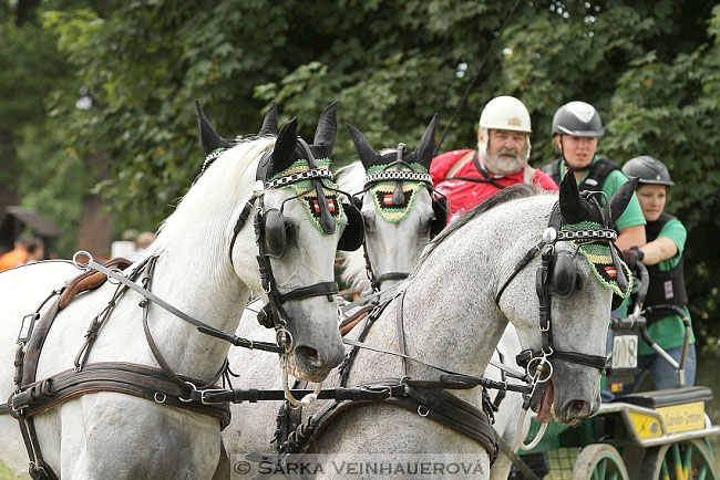 Čtyřspřeží