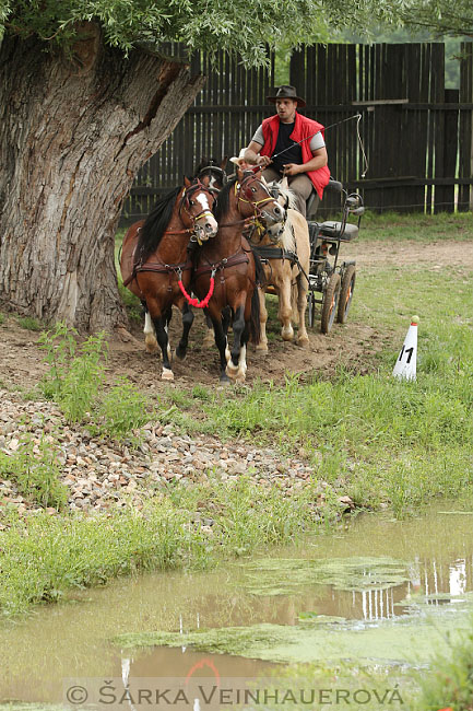 Čtyřspřeží pony