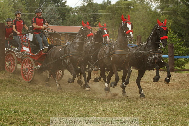 Čtyřspřeží v maratonu