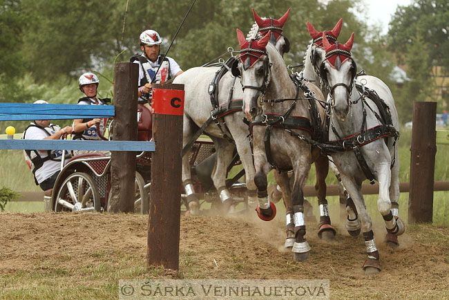 Čtyřspřeží v maratonu