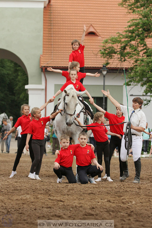 Den starokladrubského koně